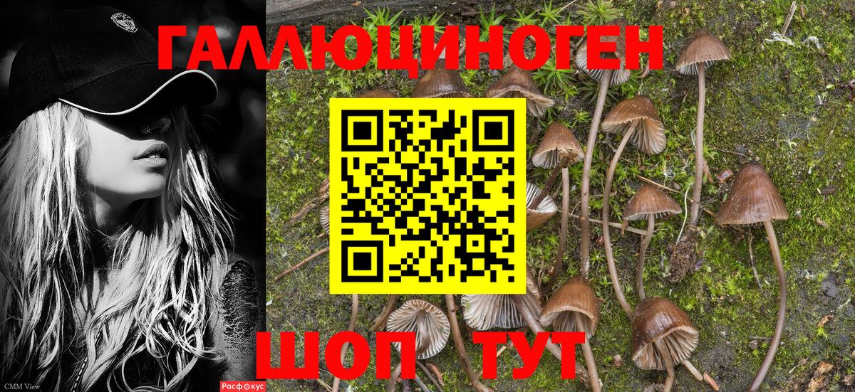 Псилоцибиновые грибы Magic Shrooms  Вход с VPN  Орск 